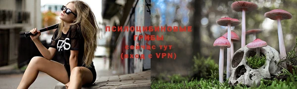 прущий лед Киреевск