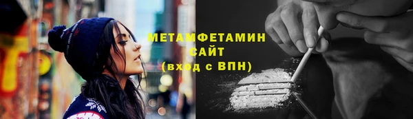 шишки Карпинск