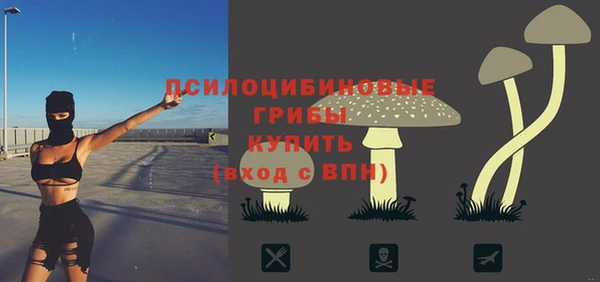 прущий лед Киренск