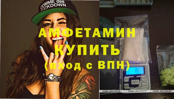 шишки Карпинск