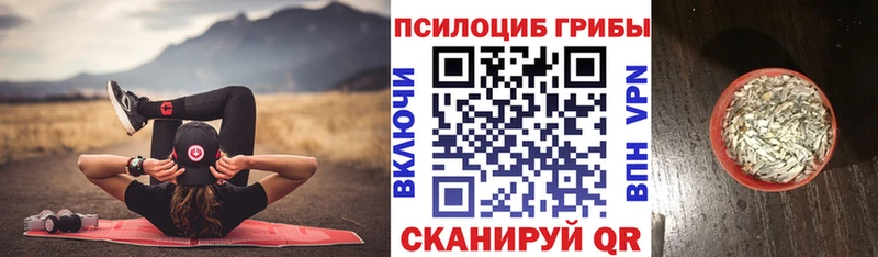 Купить  Кизел  Псилоцибиновые грибы Magic Shrooms 